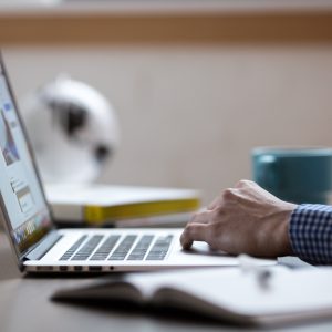 Luxury Silk Curtains